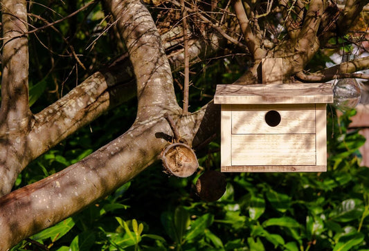Rustic Handmade Wooden Birdhouse